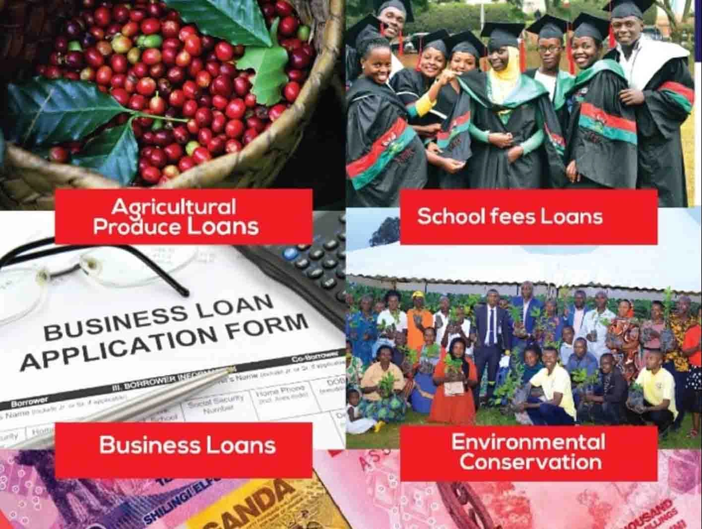 Loan Products